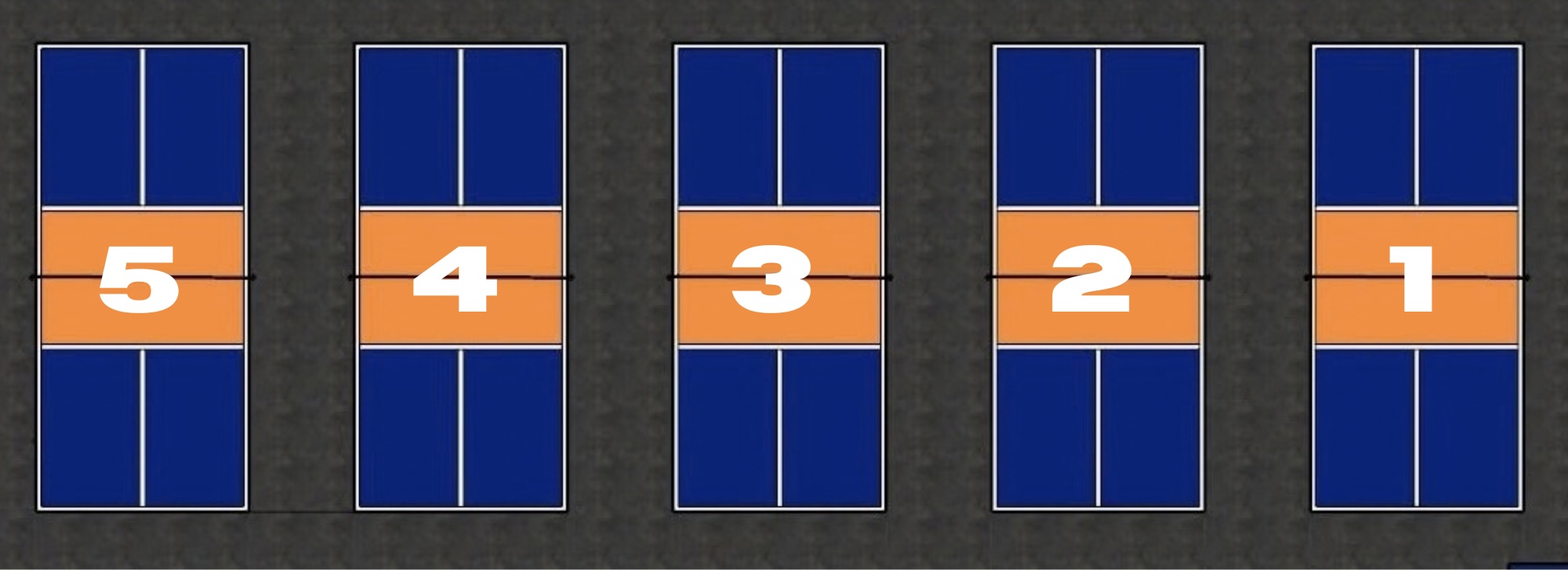 Court layout
